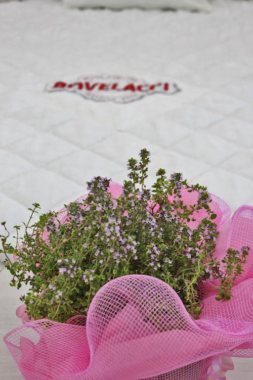 Boutique Hotel Paradiso Bovelacci Milano Marittima Exterior photo